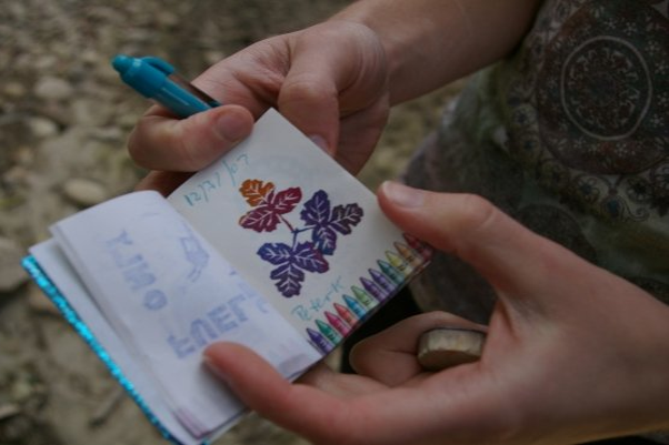 finding letterboxes